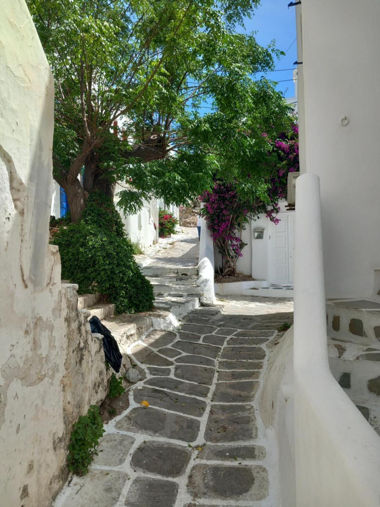 Alex Oldtown Sea View Rooms And Appartments Mykonos Town Habitación foto