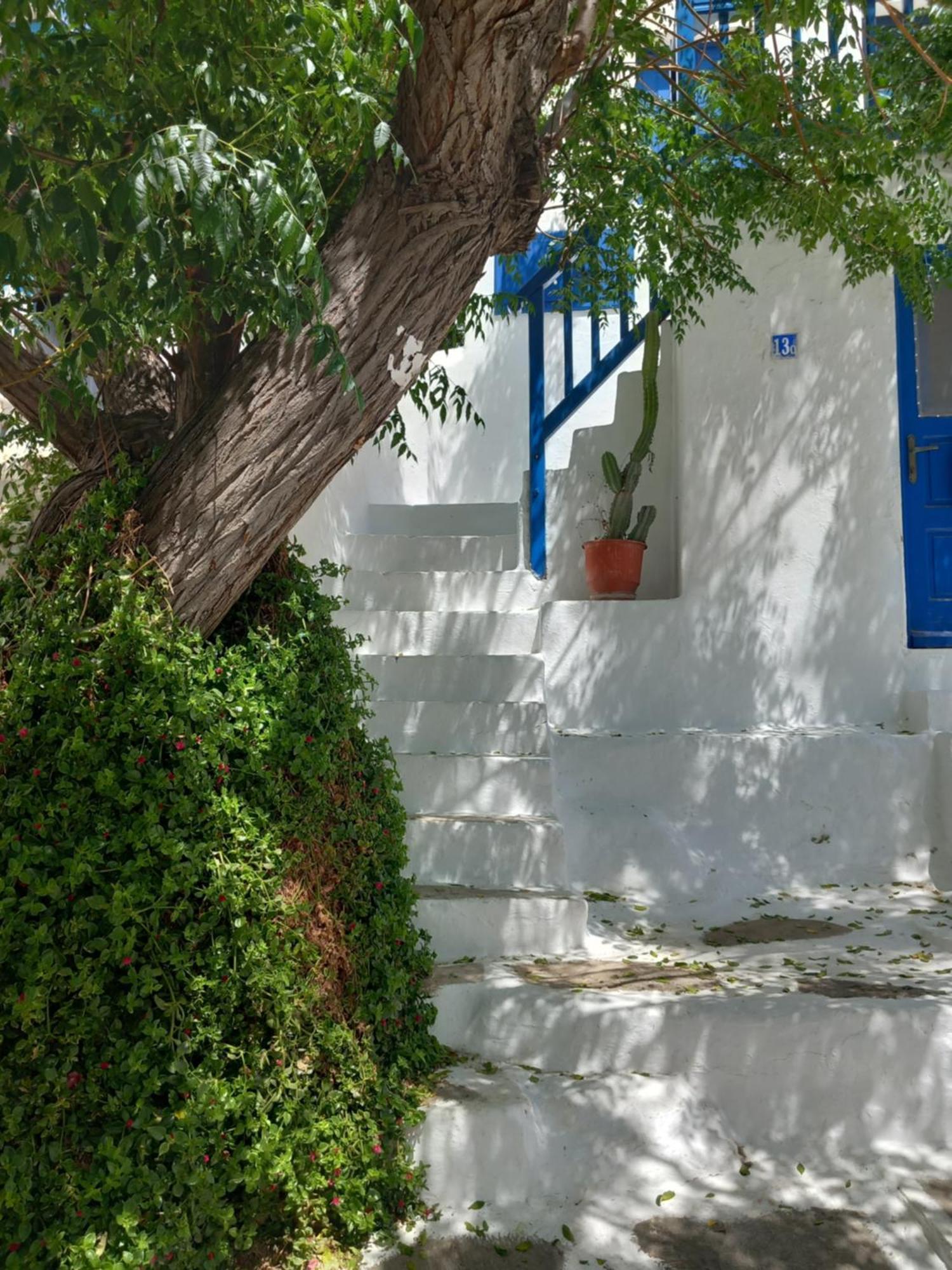 Alex Oldtown Sea View Rooms And Appartments Mykonos Town Habitación foto