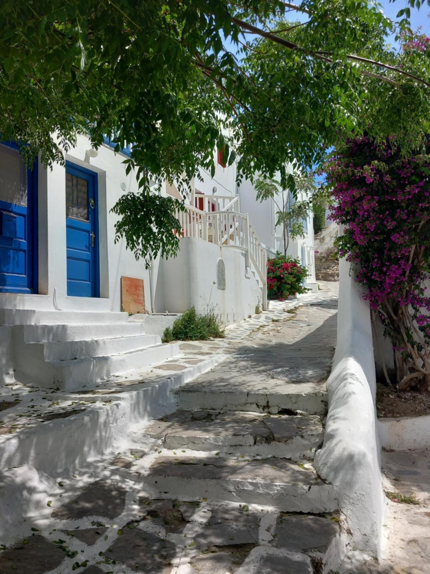 Alex Oldtown Sea View Rooms And Appartments Mykonos Town Habitación foto