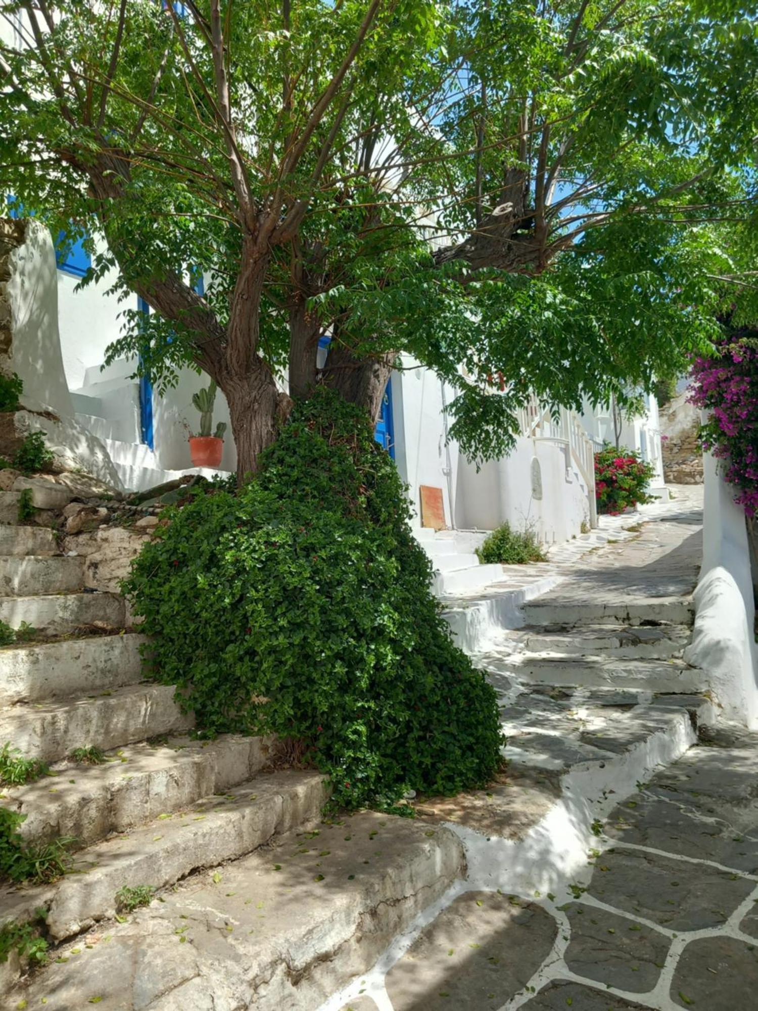 Alex Oldtown Sea View Rooms And Appartments Mykonos Town Exterior foto